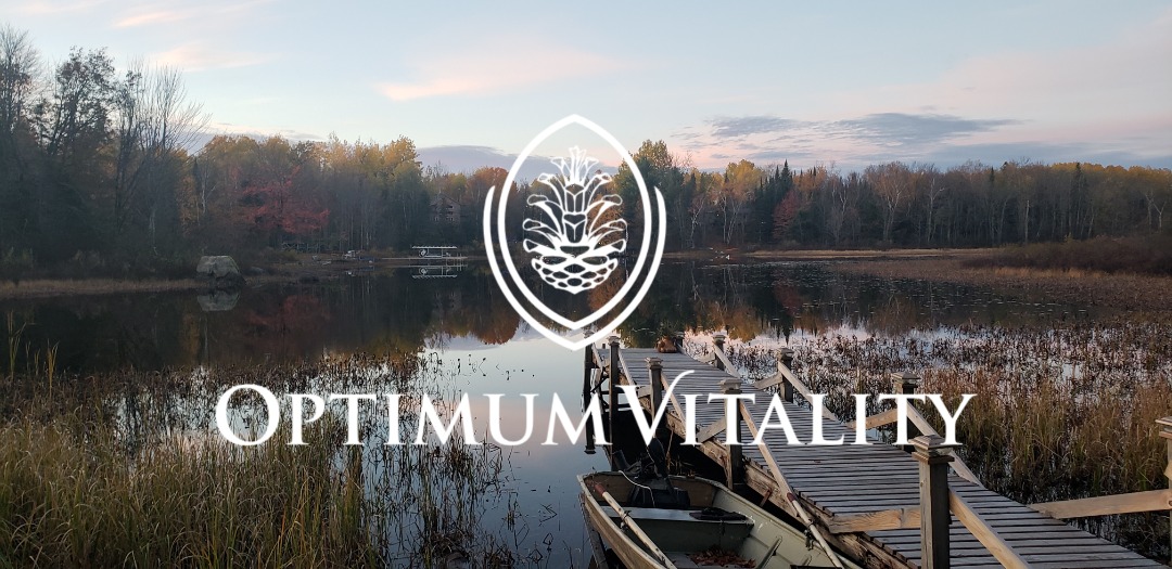 Holistic nutrition consultation