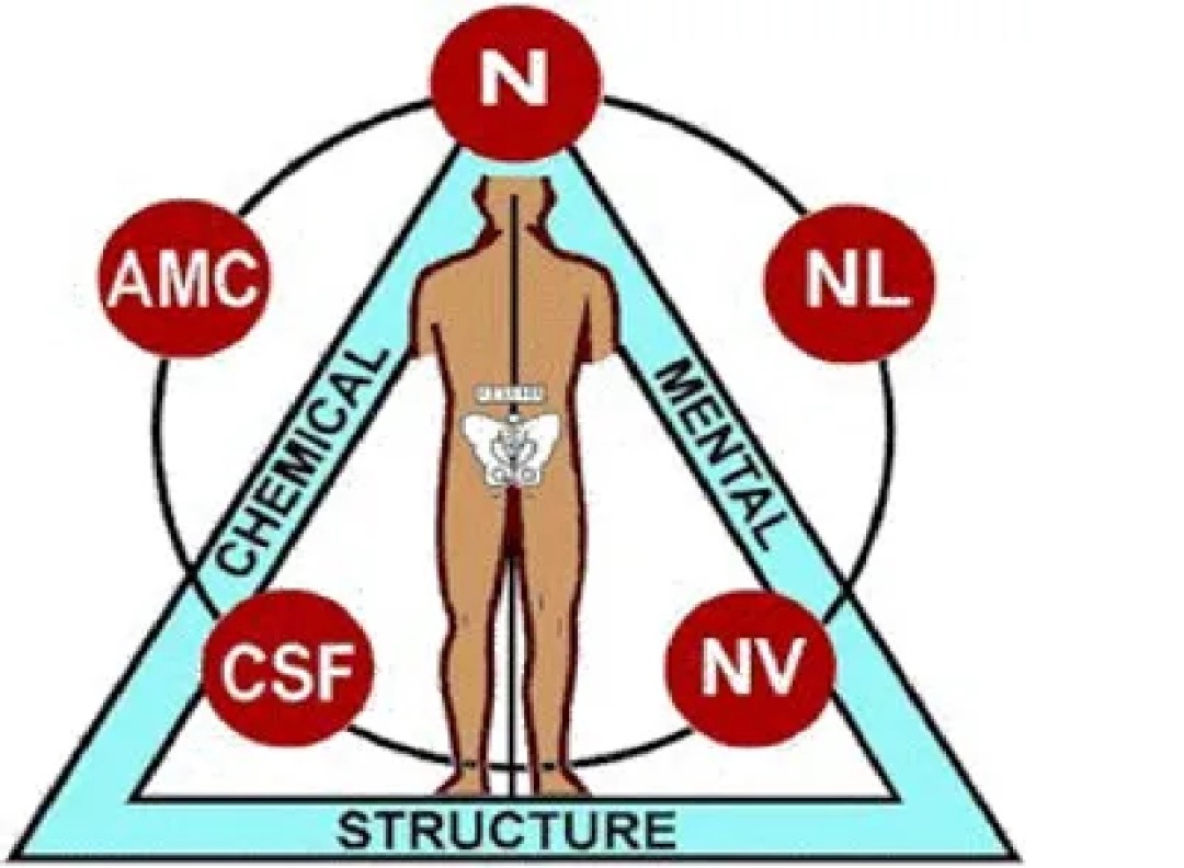 The Triad of Health