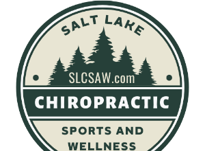 Salt Lake Chiropractic Sports And Wellness  Logo