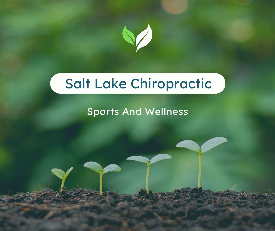 Salt Lake Chiropractic Sports and Wellness and Standard Process Salt Lake Chiropractic Sports and Wellness and Standard Process