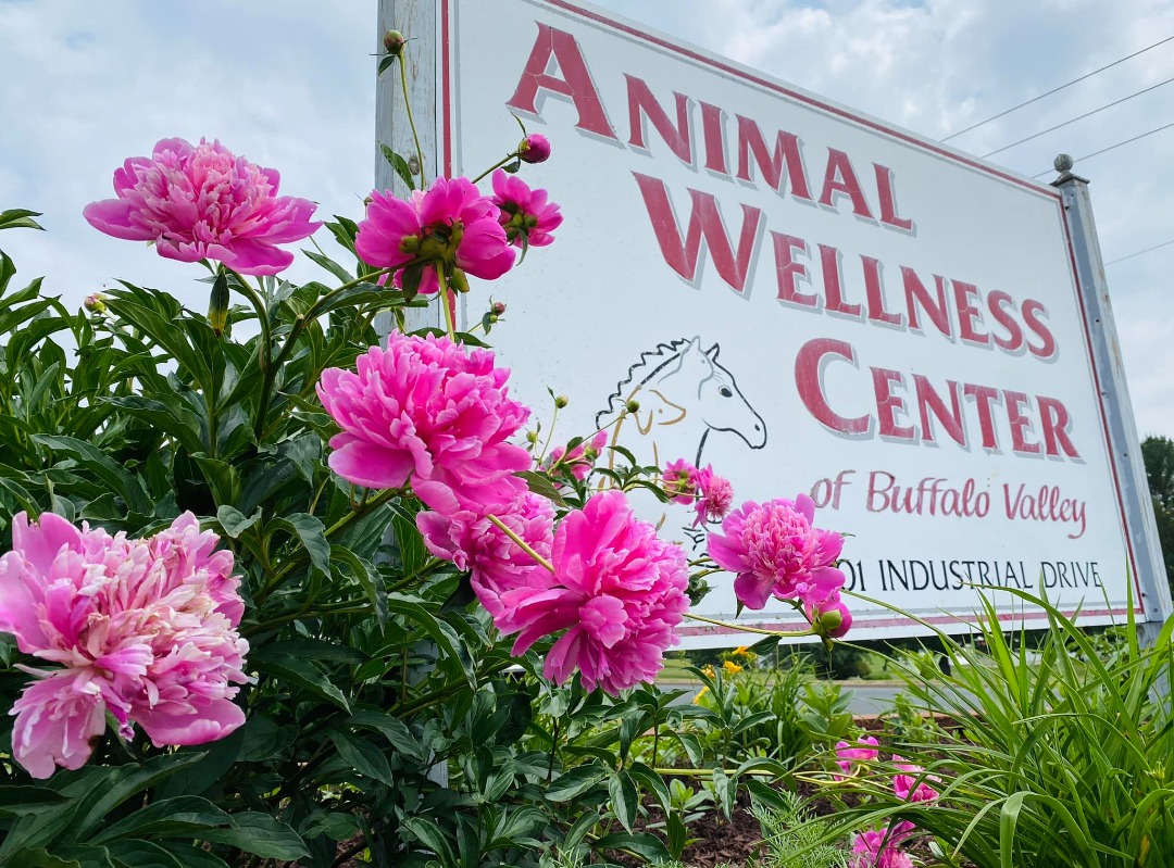 Springtime clinic sign