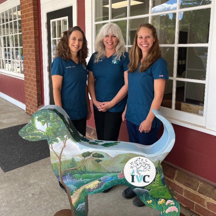 Drs. Tracy Lord, Cresta Jones and Megan Dayton Milford