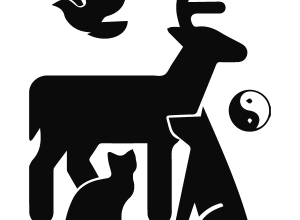 PetSynergy Logo