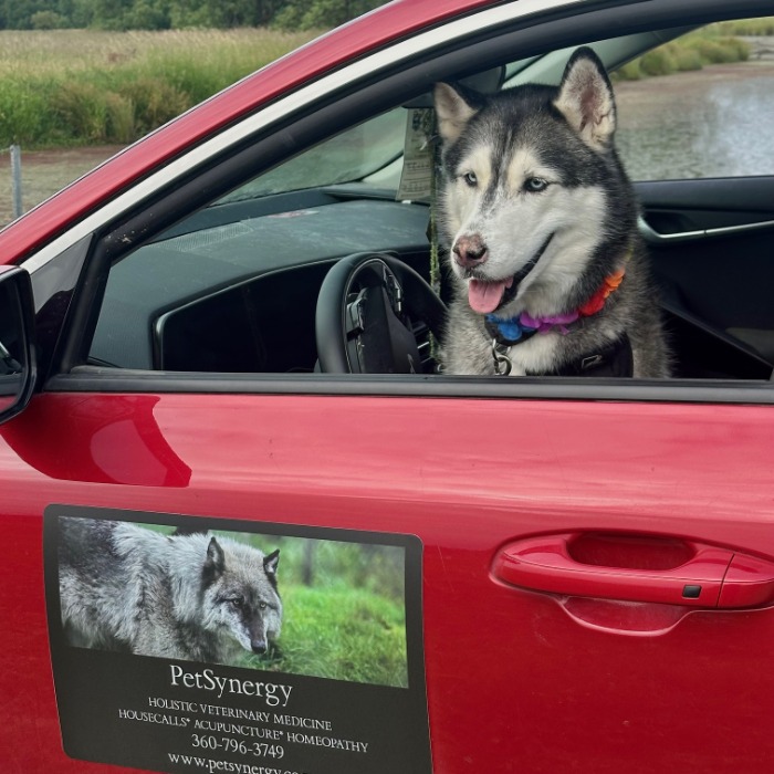 Provider Image Provider Image