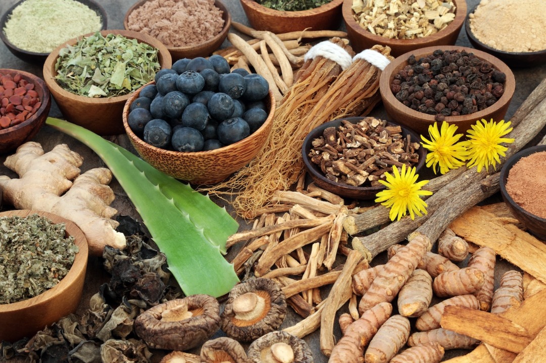 Whole food medicines and herbs offer powerful natural healing