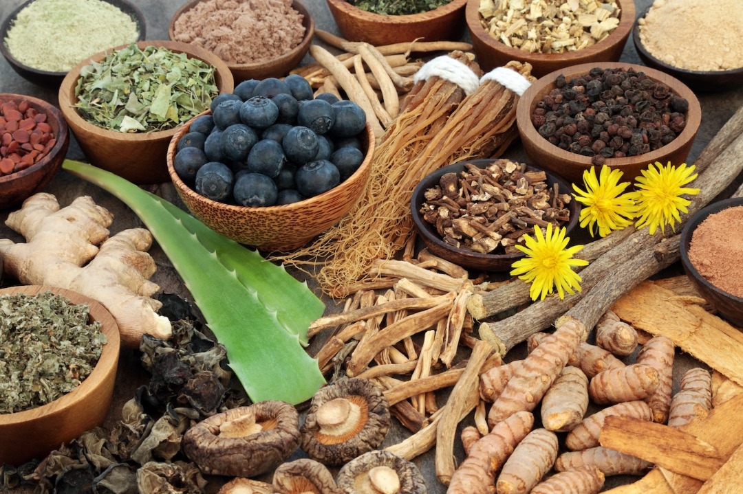Whole food medicines and herbs offer powerful natural healing Whole food medicines and herbs offer powerful natural healing
