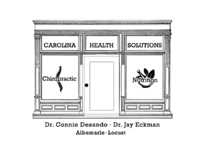 Carolina Health Solutions Logo