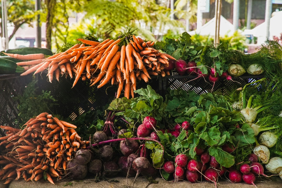 Stacks of bundled farm fresh carrots, beets, and radishes 