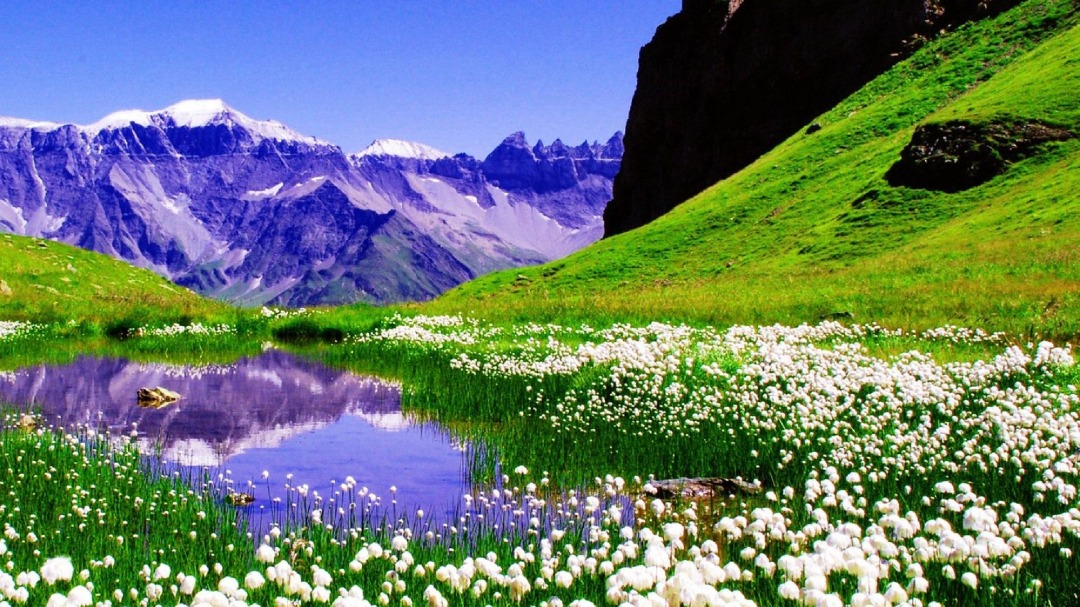 Purple mountains back left & green rolling hill in foreground right & stream and flowers between 