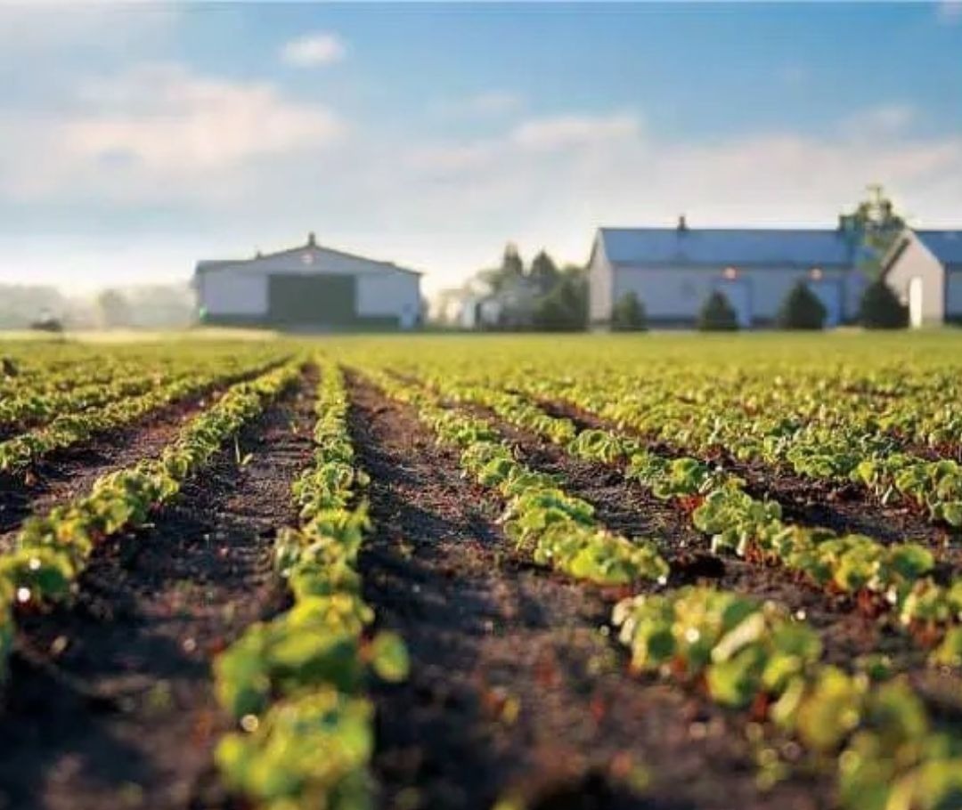 Photo of the Standard Process farm.