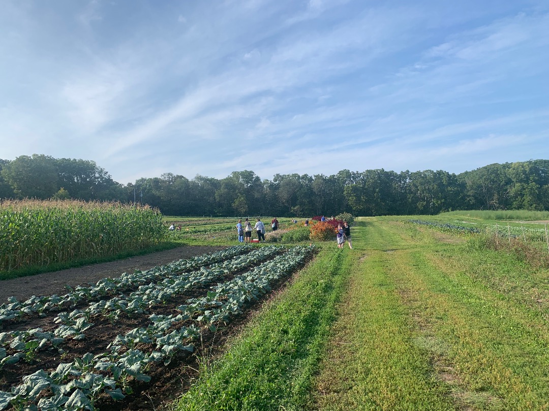farm fresh produce  holistic provider herbal medicine supplements wellness evidence based medicine  farm fresh produce  holistic provider herbal medicine supplements wellness evidence based medicine