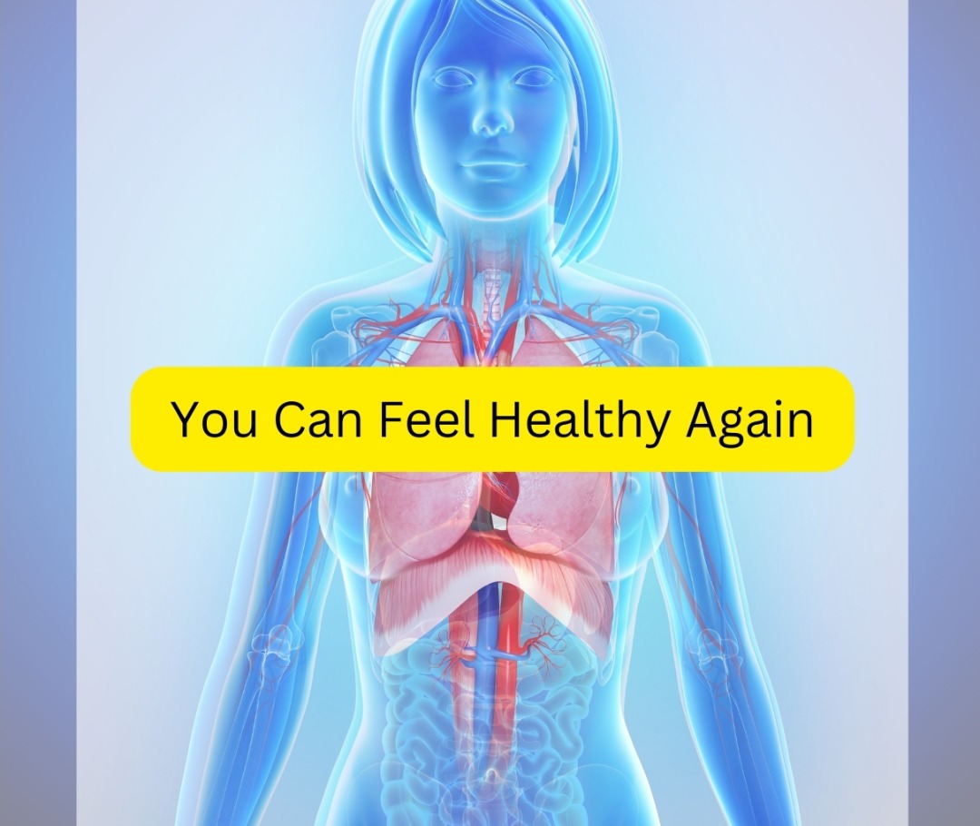 Human body - transparent to visualize organs. You Can Feel Healthy Again.