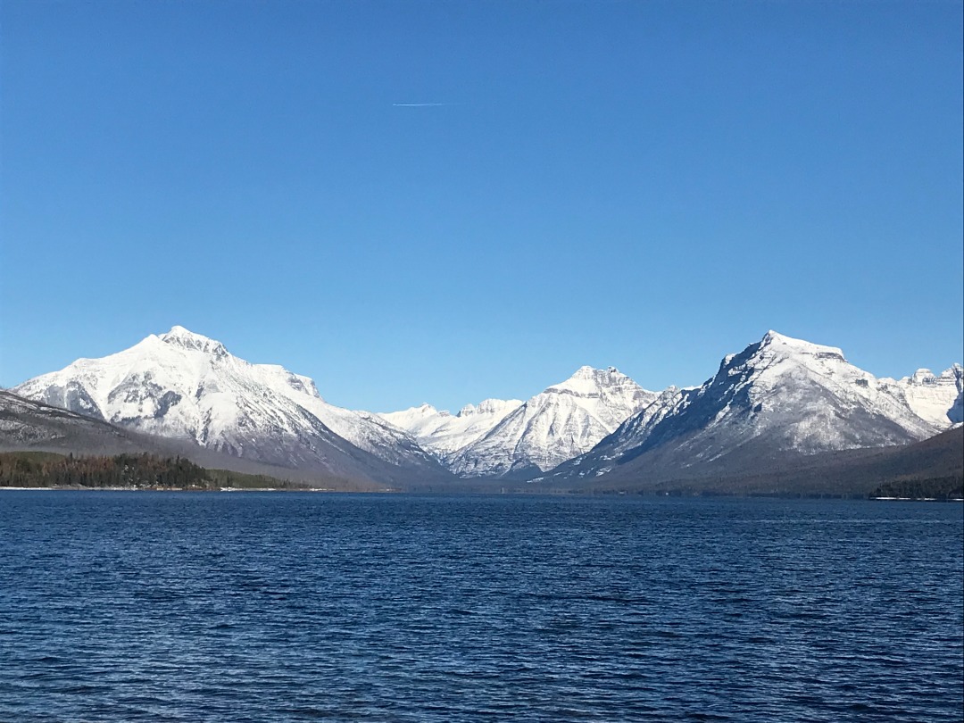 Great Bear Health, authorized seller of Standard Process Supplements for your good health & wellness