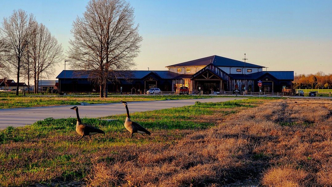 Our facility in Marion