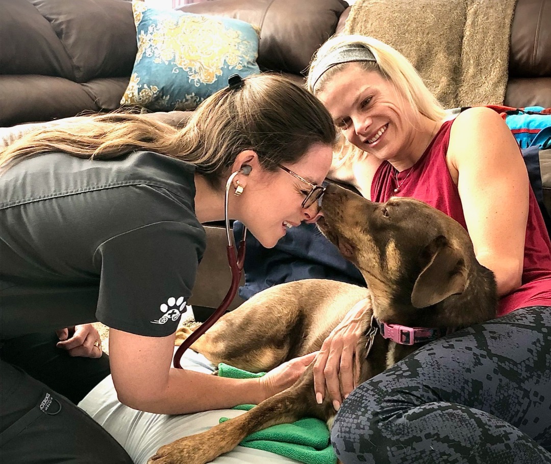 Female vet listens to dog’s heartbeat during a cozy home visit as owner smiles beside them.
