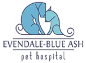 Evendale-Blue Ash Hospital  Logo