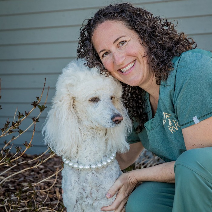 Dr. Caelli Edmonds & Dr. Jessica Puccetti with Yorkie golden retriever cavalier King Charles spaniel