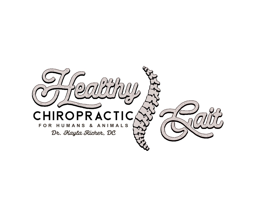Healthy Gait Logo