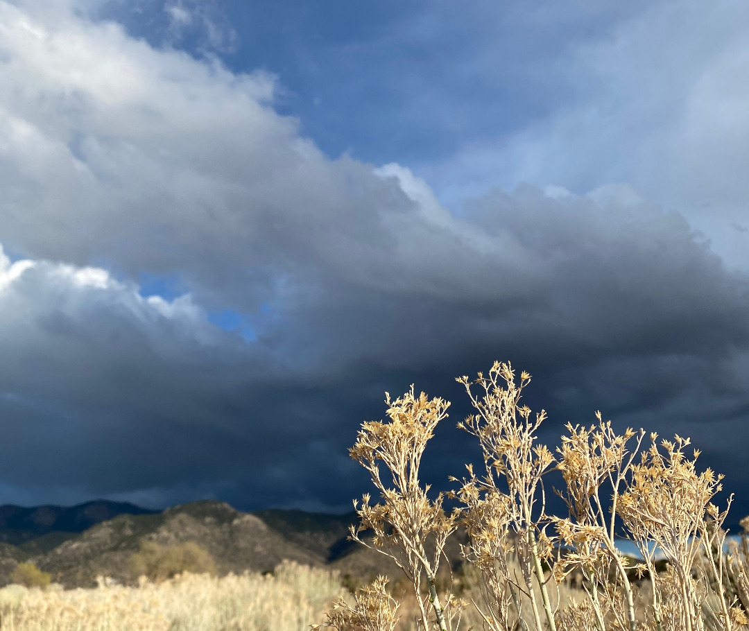 Functional Medicine Center of Albuquerque Standard Process Online Store