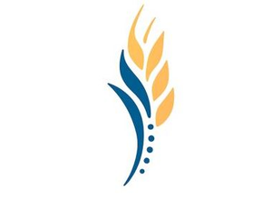 ChiroFusion Logo