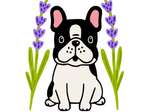 The Peaceful Paw LLC Logo