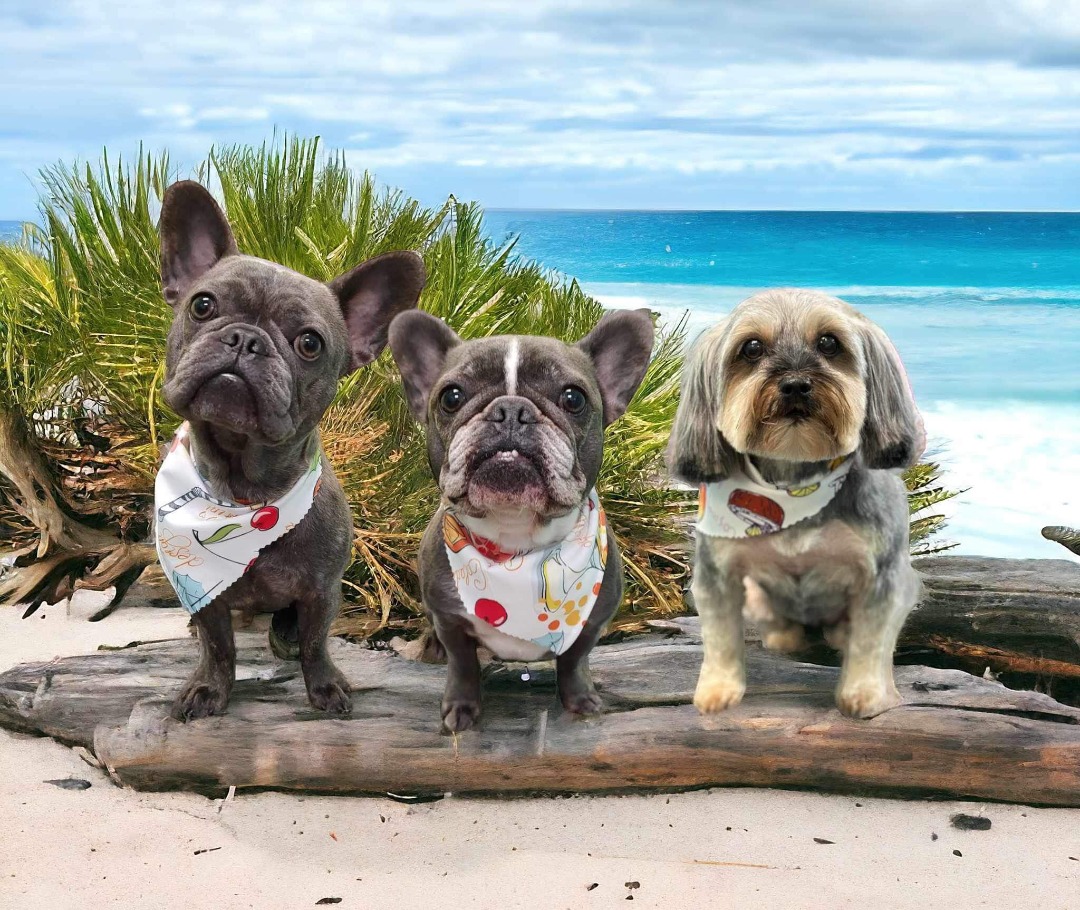 My crew and I on the beach