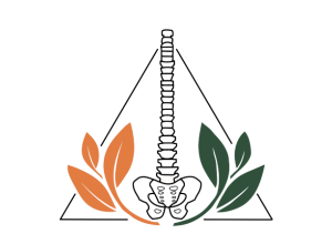 Delta Chiropractic and Wellness Logo
