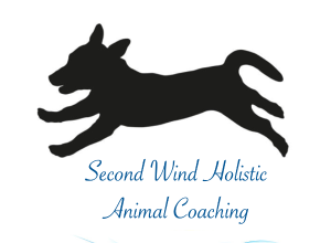 Second Wind Holistic Animal Coaching  Logo